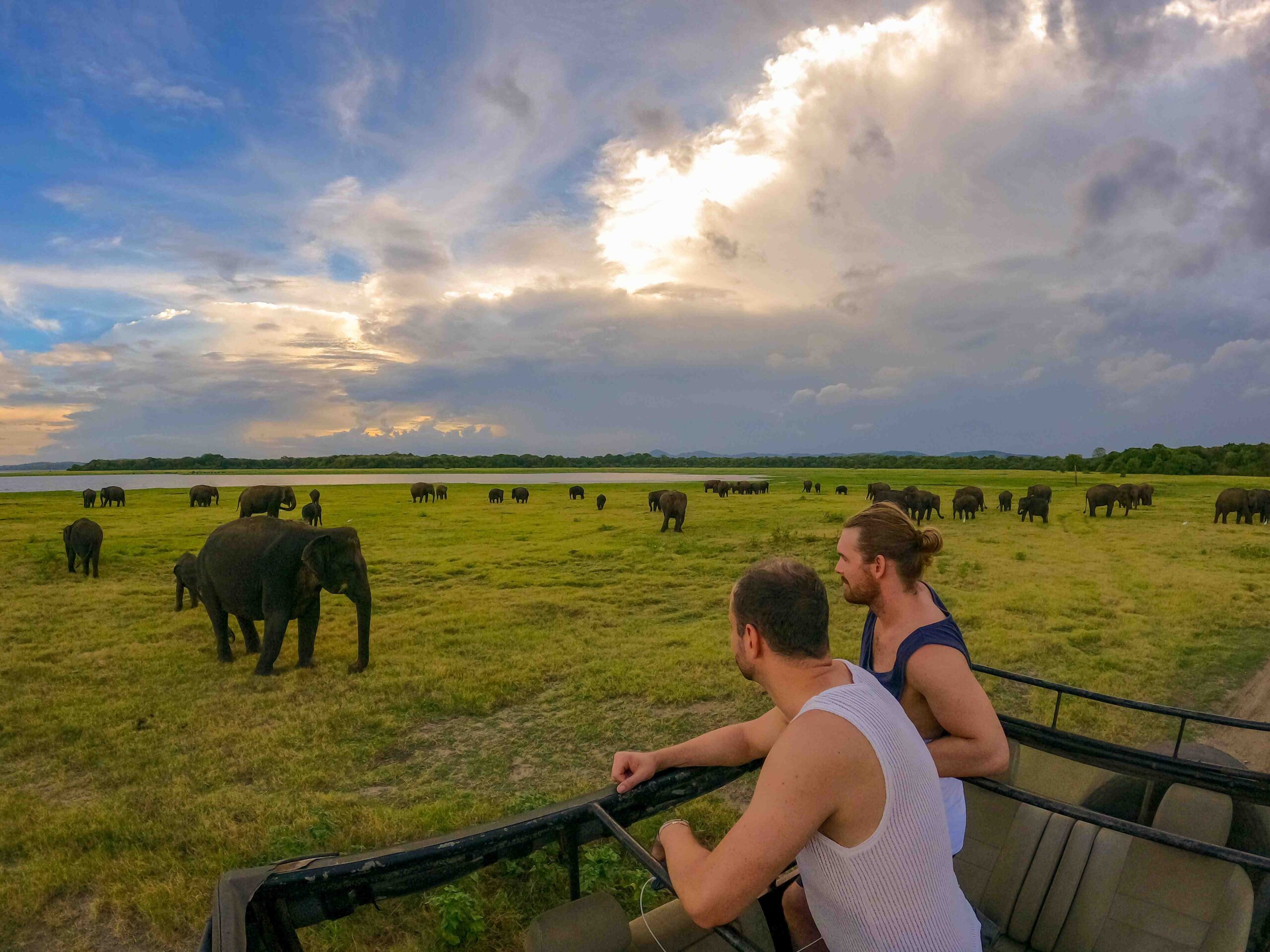 Kaudulla National Park: Exploring Sri Lanka’s Wildlife Sanctuary