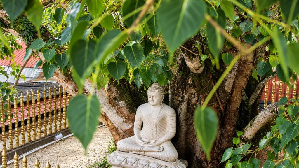 Bahirawakanda Temple 08