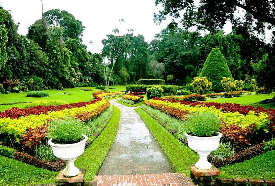 Day 2 - Kandy & Royal Botanical Gardens