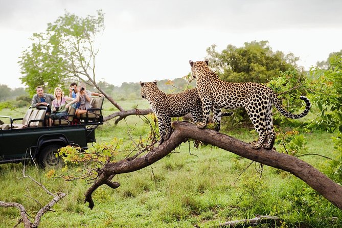 Day 14 - Optional Yala Safari